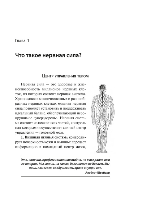 Здоровая нервная система