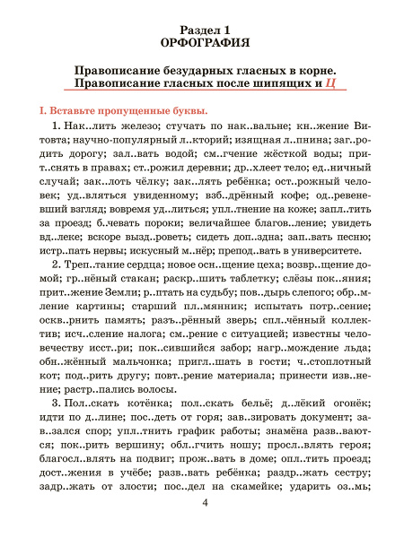 Русский язык. Тренажер по орфографии и пунктуации. 10-11 классы