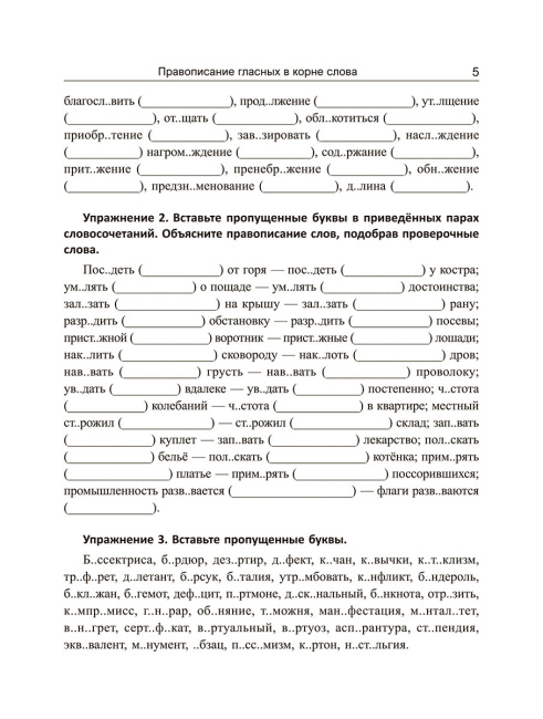 Русский язык: экспресс-курс по орфографии и пунктуации