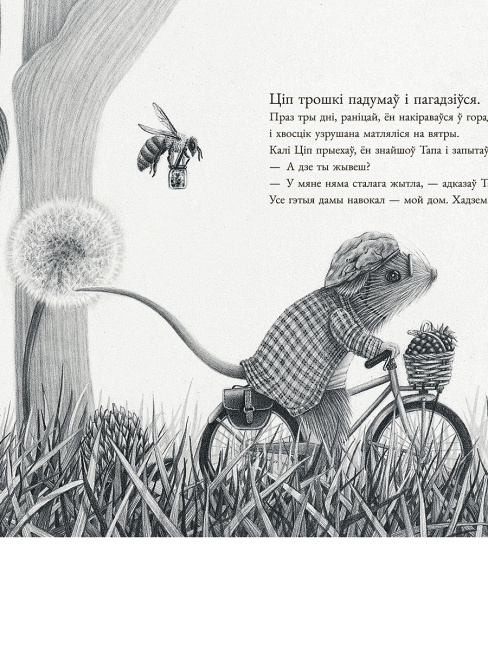 Мышаня Ціп і мышаня Тап