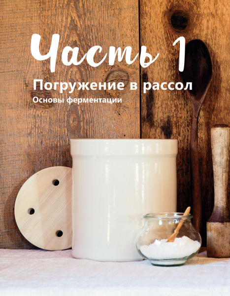 Натуральная ферментация: Оригинальные авторские рецепты квашения 64 овощей и фруктов