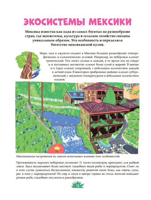 Мексиканская кухня в иллюстрациях