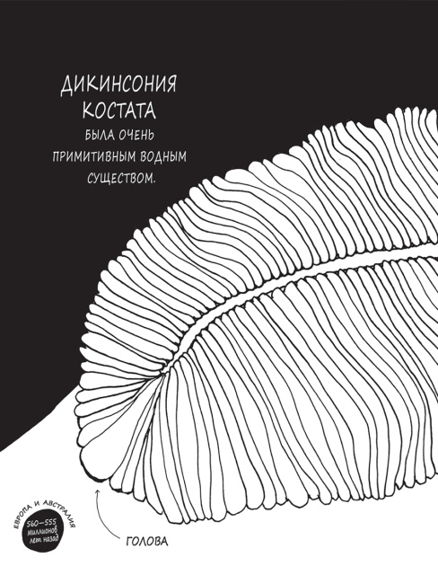 Истории о древних животных в картинках