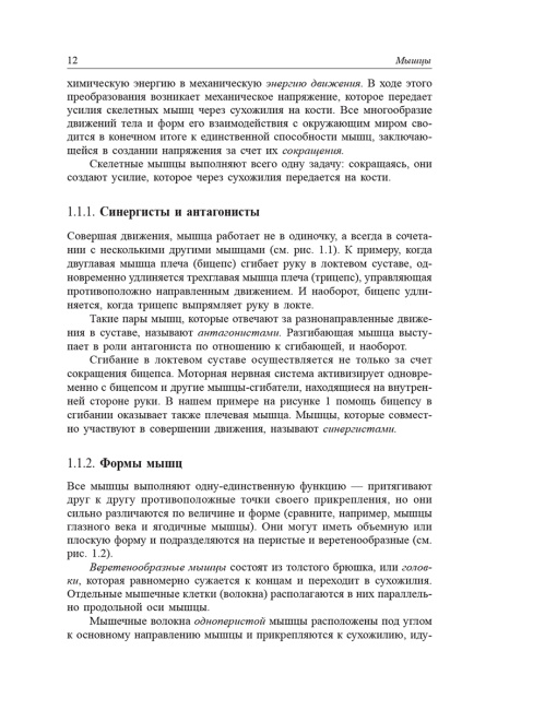 Спортивная медицина