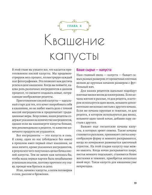 Натуральная ферментация: Оригинальные авторские рецепты квашения 64 овощей и фруктов