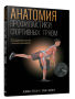 Анатомия профилактики спортивных травм