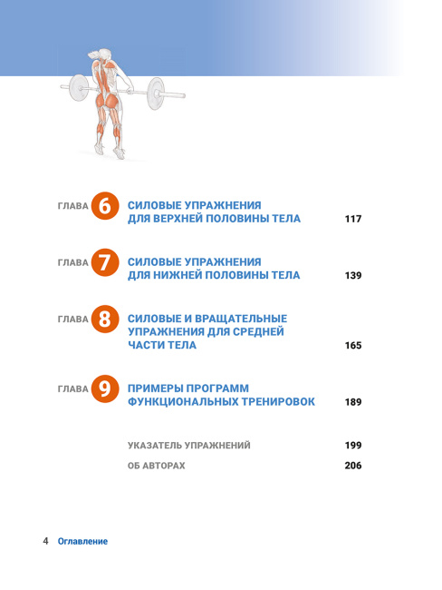 Анатомия функциональных тренировок