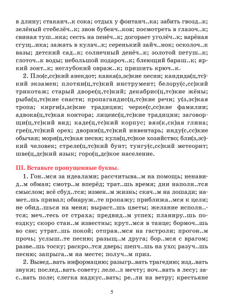 Русский язык. Тренажер по орфографии и пунктуации. 8 класс