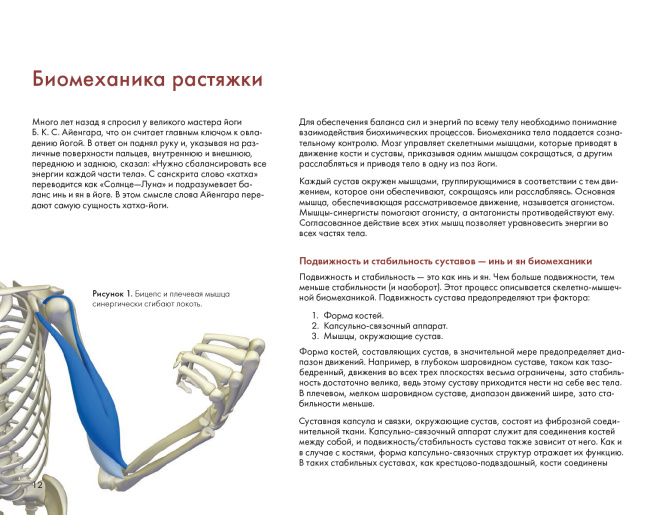 Ключевые позы йоги
