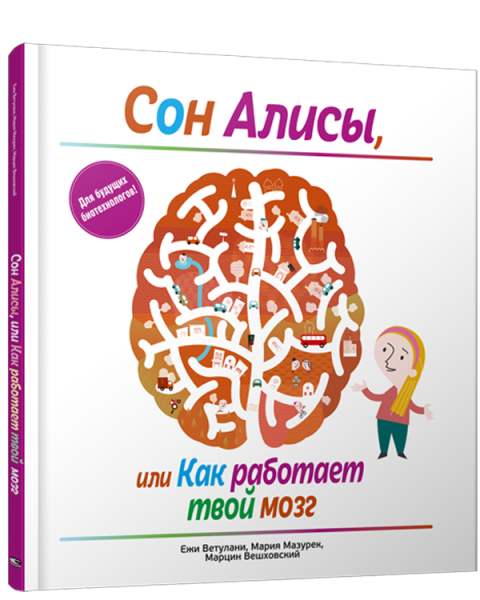 Сон Алисы, или Как работает твой мозг