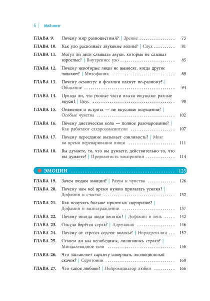 Мой мозг