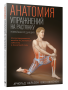 Анатомия упражнений на растяжку