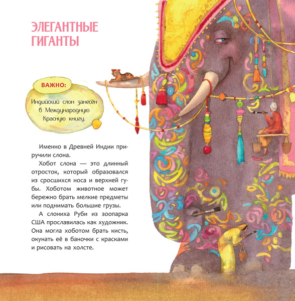Индия. Страна мудрецов