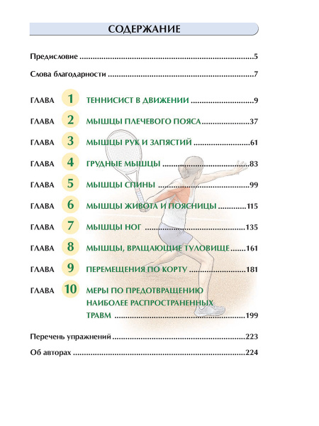 Анатомия тенниса