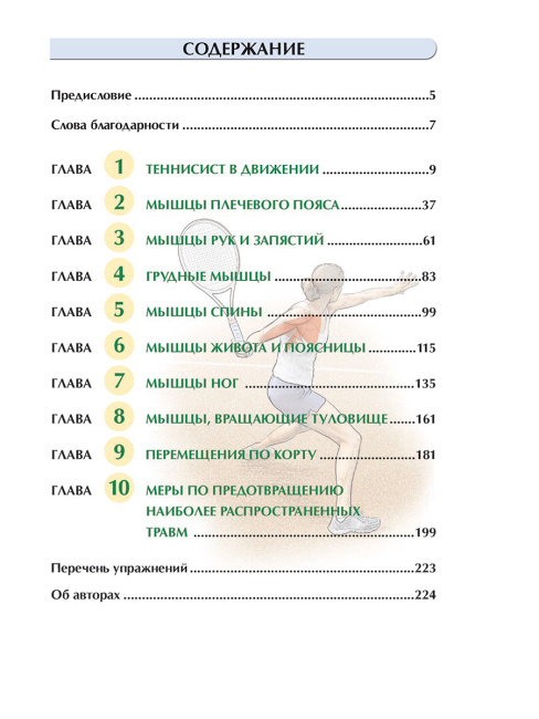 Анатомия тенниса