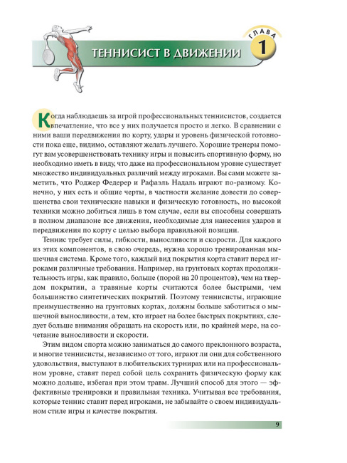 Анатомия тенниса