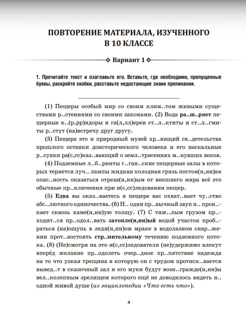 Русский язык: проверочные работы для тематического и итогового контроля. 11 класс