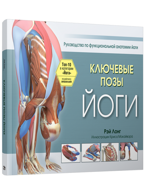 Ключевые позы йоги