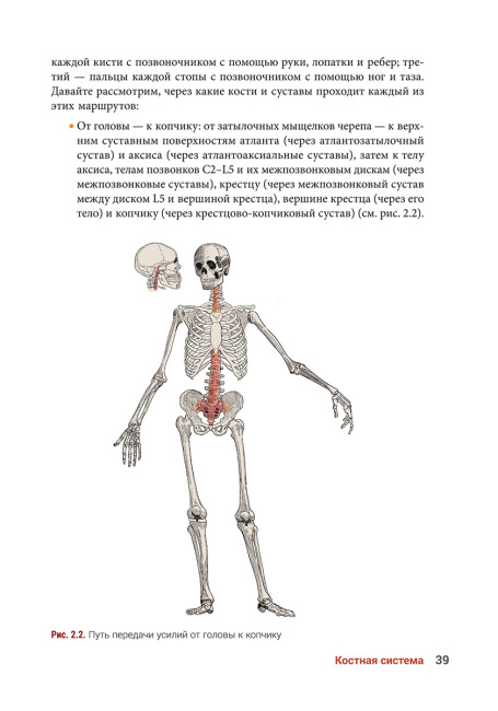 Анатомия йоги. Новейшая редакция