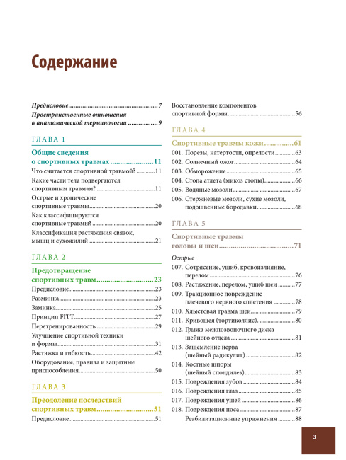 Анатомия спортивных травм