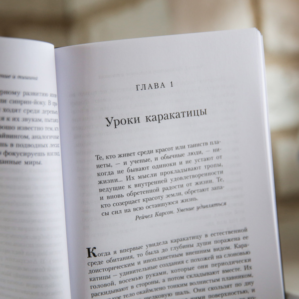 Фосфоресценция: О том, что нас поддерживает, когда мир окутывает тьма