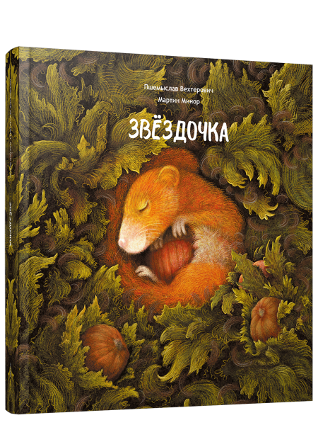Звёздочка