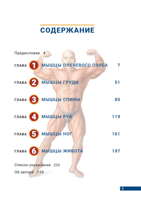 Анатомия бодибилдинга