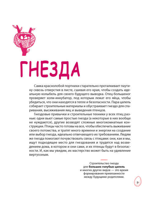 Гнёзда, яйца, птицы
