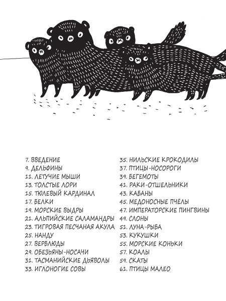Забавные факты о детёнышах животных в картинках