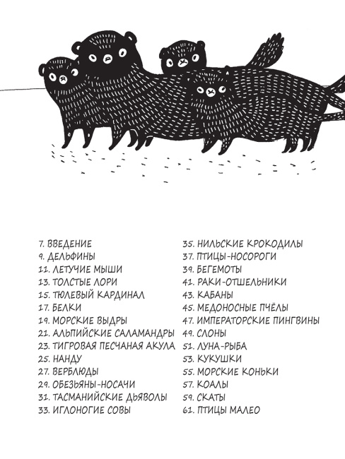 Забавные факты о детёнышах животных в картинках