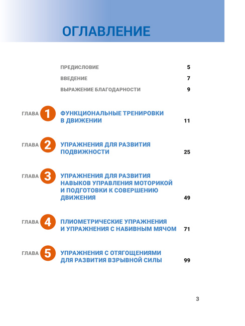 Анатомия функциональных тренировок