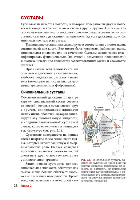 Анатомия йоги. Новейшая редакция