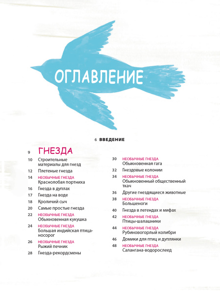 Гнёзда, яйца, птицы